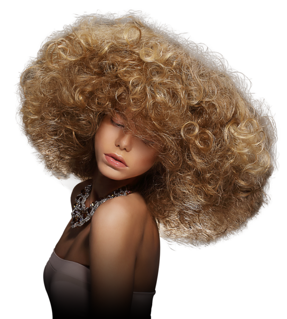 Minneapolis Wigs Hair Salon Salon DK